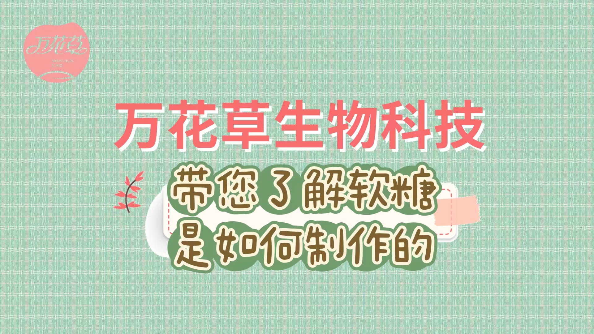 軟糖代加工生產(chǎn)工藝流程，帶您了解糖果是如何制作的