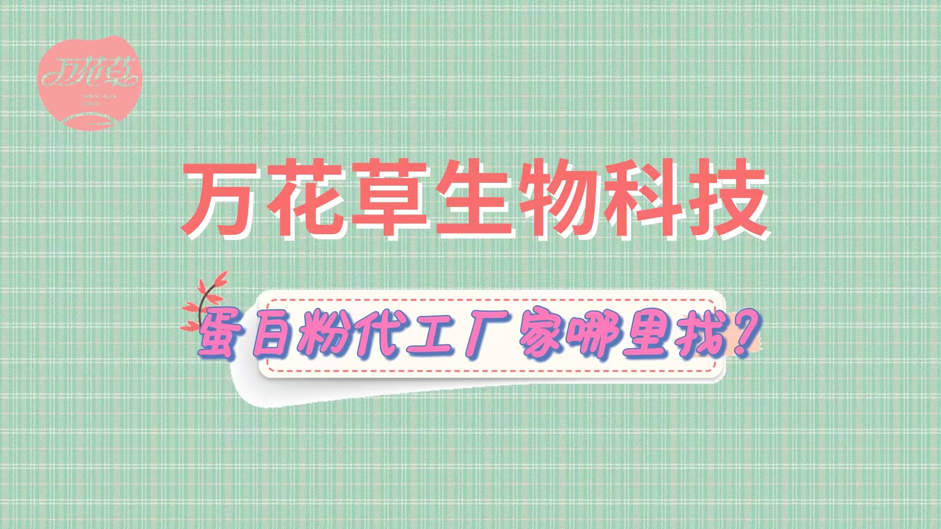 蛋白粉代加工，怎么找專(zhuān)業(yè)源頭廠家？